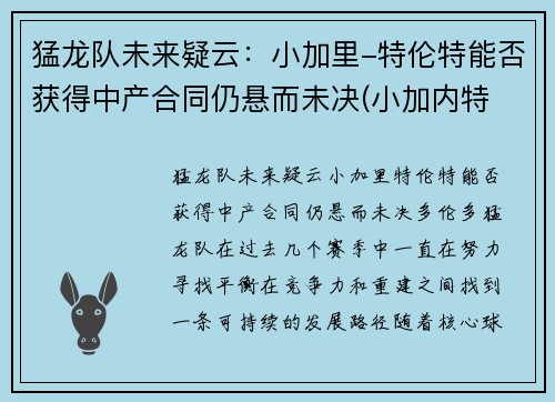 猛龙队未来疑云：小加里-特伦特能否获得中产合同仍悬而未决(小加内特 迈尔斯)